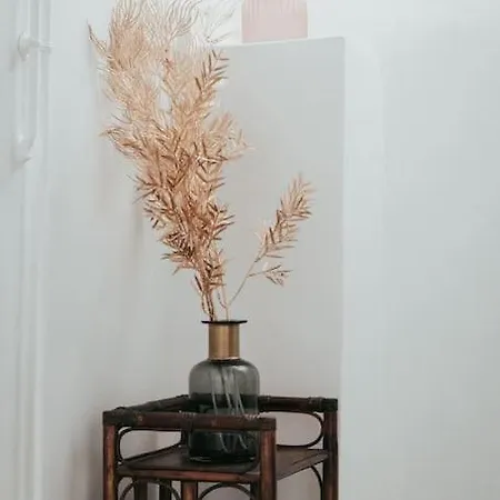 Cosy Saint-pierre Centre-ville